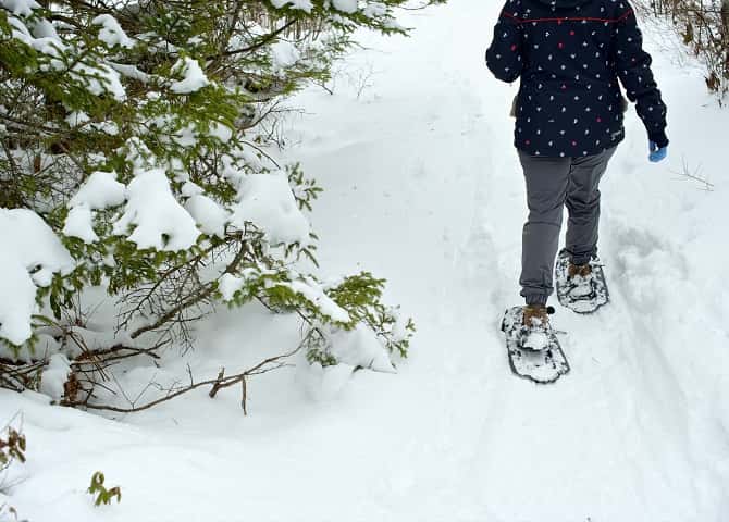Snowshoeing by a tree, Nova Scotia Vacation, kids activities, winter season