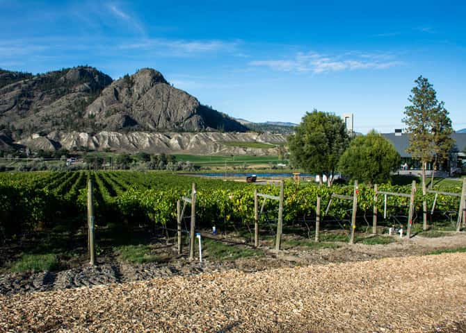 The Monte Creek Ranch Winery (©Tourism Kamloops)