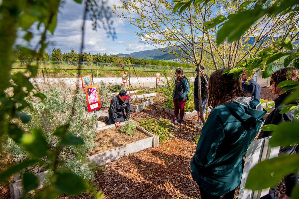 Kalamalka Indigenous Garden