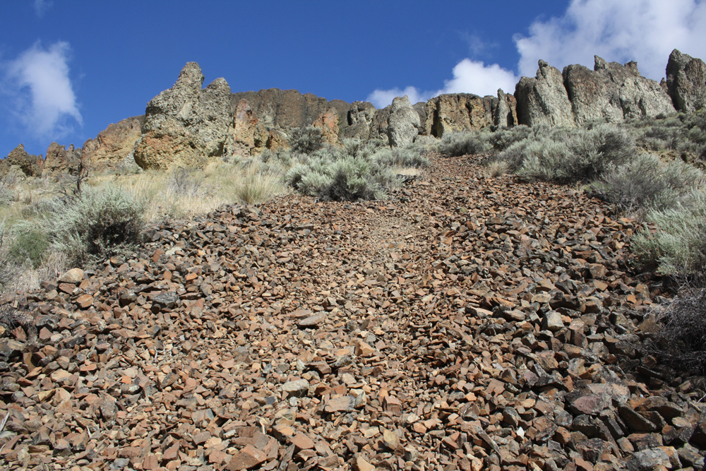 McAbee Fossil Beds Heritage Site 